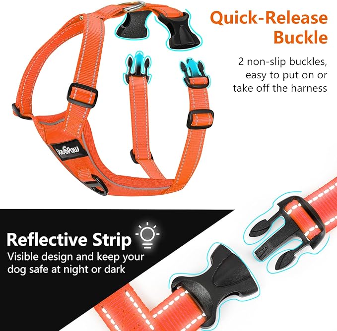 Dog Seat Belt Harness for Car, Dog Car Harness Adjustable Mesh Breathable & Dogs Seatbelt Safety Tether with Elastic Bungee for Small Medium Large Pets(Orange, XL)-PawvioPets