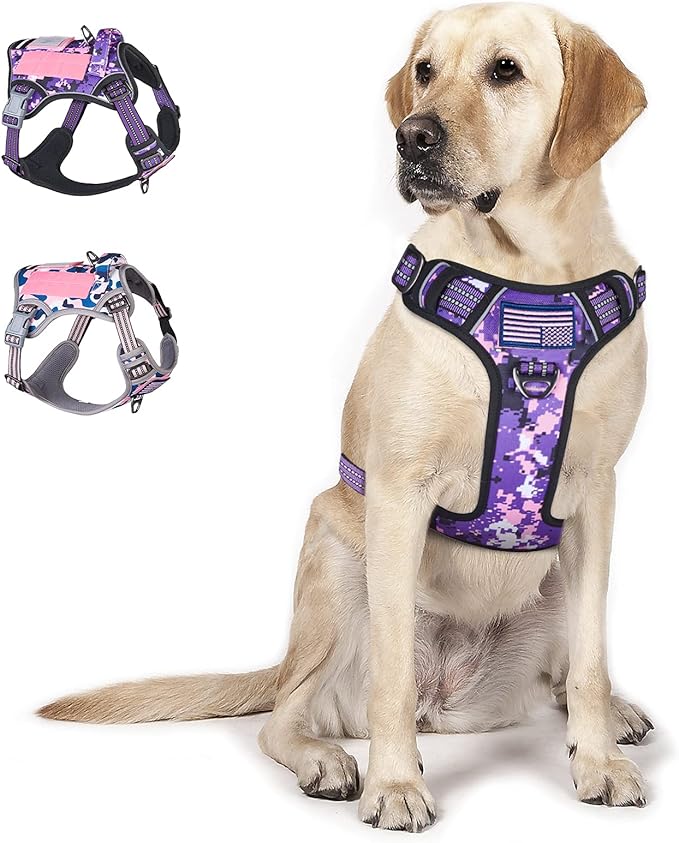 BUMBIN Tactical Dog Harness for Large Dogs No Pull, Famous TIK Tok No Pull Dog Harness, Fit Smart Reflective Pet Walking Harness for Training, Adjustable Dog Vest Harness with Handle Purple Camo L-PawvioPets