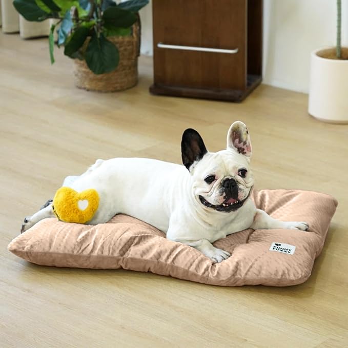 FUNNY FUZZY 30x20 Washable Dog Bed Crate Mat, 2 in1 Pet Pillow Sleeping Bed, Fluffy Deluxe Kennel Mattress for Medium Dog and Cat,Charcoal Grey,M,Beige-PawvioPets