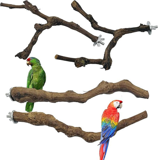Allazone 4-Piece Bird Perch - Natural Grapevine Stick Swing Chewing Toys for Parrot Cages, Cockatiels, Parakeets, Finches-PawvioPets