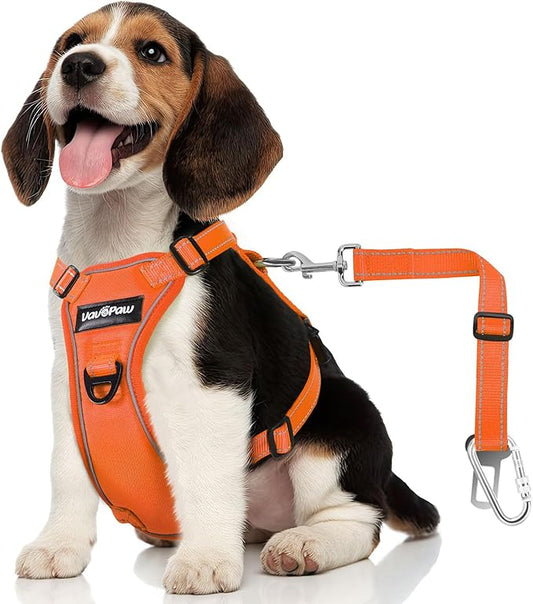 Dog Seat Belt Harness for Car, Dog Car Harness Adjustable Mesh Breathable & Dogs Seatbelt Safety Tether with Elastic Bungee for Small Medium Large Pets(Orange, S)-PawvioPets