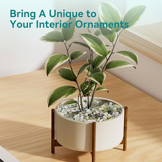 5 lbs Jade Pebbles for Indoor Plants, 3/8" Plant Rocks for Pots Indoor, Decorative Small Stones for Plants, Bamboo,Vase, Succulent, Highly Polished Small River Rocks-PawvioPets