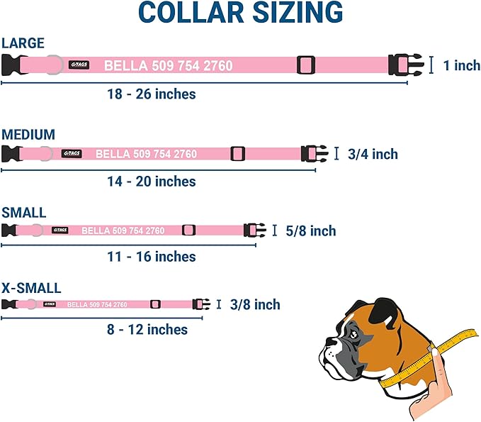GoTags Personalized Dog Collar with Nameplate, Adjustable Dog Collar with Custom Engraved Slide On Pet ID Tag in Stainless Steel, Silent, No Noise Dog Tag for Large Medium and Small (Pink, Medium)-PawvioPets