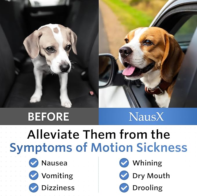 Anti-Motion Sickness and Nausea Relief for Medium Breed Dogs, Relief for Disorientation and Dizziness, 20 Tablets-PawvioPets