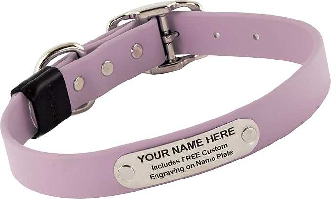 Biothane Custom Dog Collar – Waterproof, Stink-Proof Personalized Collar with Name & Phone Number – Durable, Many Sizes and Colors – Assembled in USA (Lilac Purple)-PawvioPets