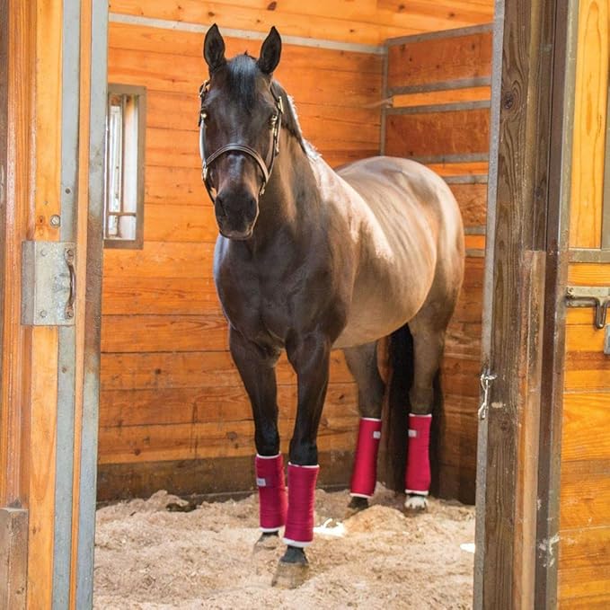 Dura-Tech Standing Wraps for Horses | Color Red | Optimal Comfort & Support | Ideal for Post-Exercise & Trailering | Right Tension Application | Secure Closure-PawvioPets