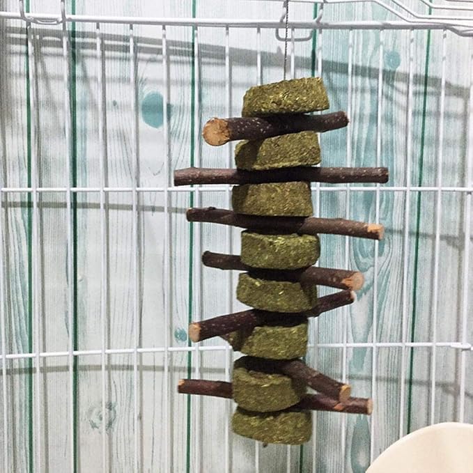 Bunny Chew Toys for Teeth, Organic Apple Wood Molar Sticks with Timothy Hay Circles for Bunny Chinchilla Guinea Pig Hamsters Holland Lop Prairie Dogs Squirrels Gerbils, Improves Dental Health-PawvioPets