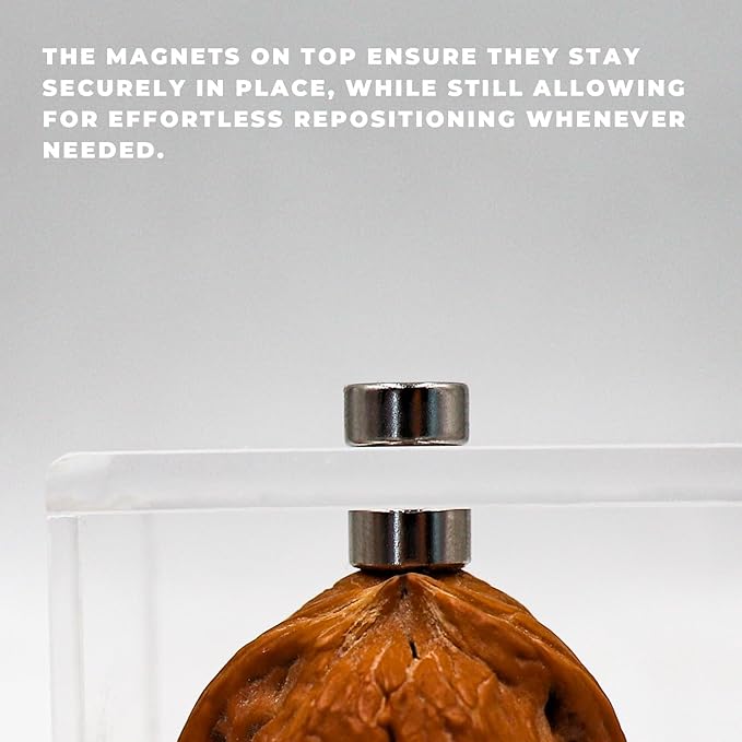 2 Pack Jumping Spider Enclosure Accessories with Walnut Shell Moss and Magnet, Natural Material Jumping Spider Hide-PawvioPets