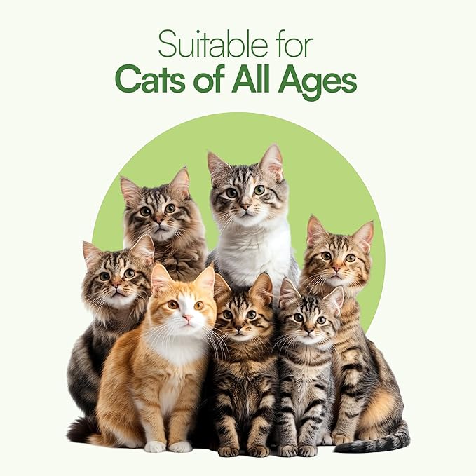 3 Pcs Catnip Balls with Feathers – Natural Catnip Toy for Play, Stress Relief & Healthy Enrichment Interactive Cat Toys Perfect for Indoor Cats & Kittens, Encourages Active Play & Wellness-PawvioPets