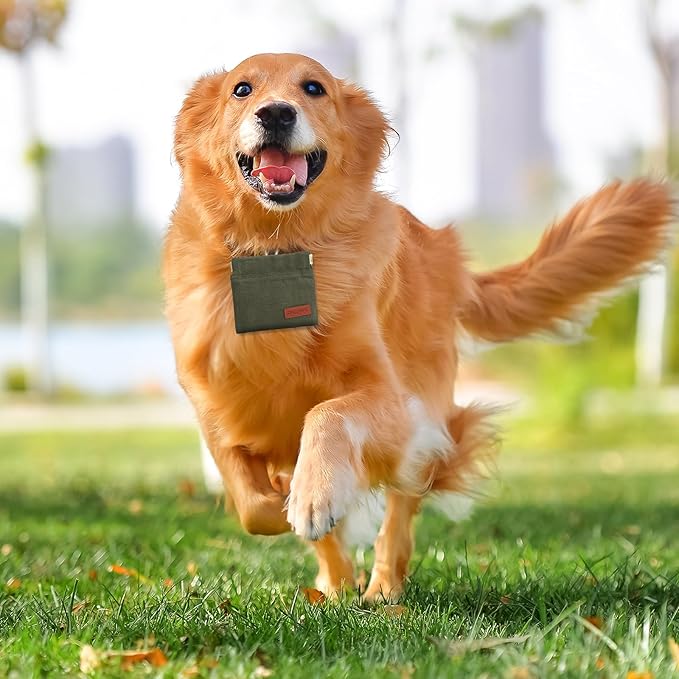 2PC Dog Treat Pouch,Dog Training Treat Reward Bag,Portable Puppy Hand Free Dog Walking Bag,Auto Closing Dog Food Dispenser,Behavior Aids for Puppy Travel or Outdoor(Green Khaki)-PawvioPets