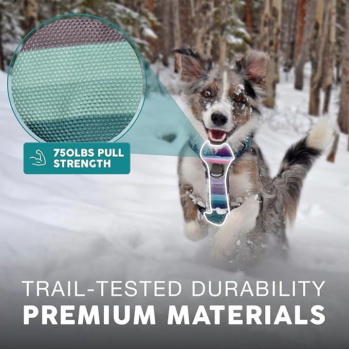 Embark Adventure Dog Harness, Reflective Trim XL Dog Harness for Extra Large Dogs No Pull - Military Grade Nylon, 2 Leash Clips & Gel Lined Handle. Soft & Padded Puppy Dog Harnesses for Any Breed-PawvioPets