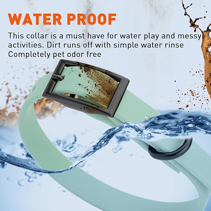 Dogline Biothane Waterproof Dog Collar Strong Coated Nylon Webbing with Black Hardware Odor- Proof for Easy Care Easy to Clean High Performance Fits Small Medium or Large Dogs, Sage Green-PawvioPets