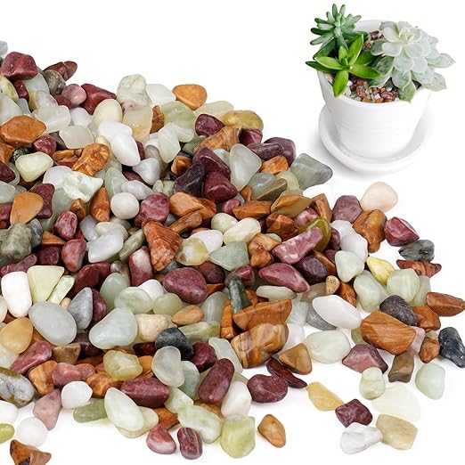 5lbs Pebbles for Indoor Plants, 3/8 Inch Small Rocks for Potted Plants, Succulents, Vase Fillers, Cactus Planters, Bird Bath, Fountain, Outdoor Garden Landscaping-PawvioPets