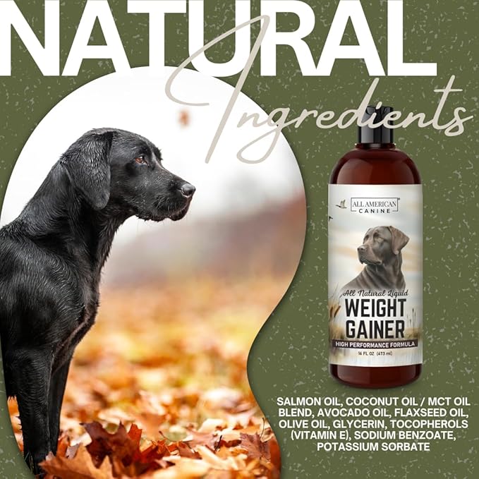 Dog Weight Gainer Liquid – High Calorie Dog Food Supplement for Rapid Weight Gain, Mass, and Recovery – Appetite Stimulant – 60 Servings-PawvioPets
