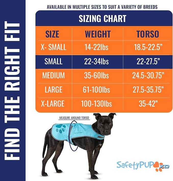 Dog Reflective Vest – Hi-Vis Fluorescent Visibility That Helps to Safeguard Your Pet On/Off Leash in Urban & Rural Areas (Teal, Small)-PawvioPets