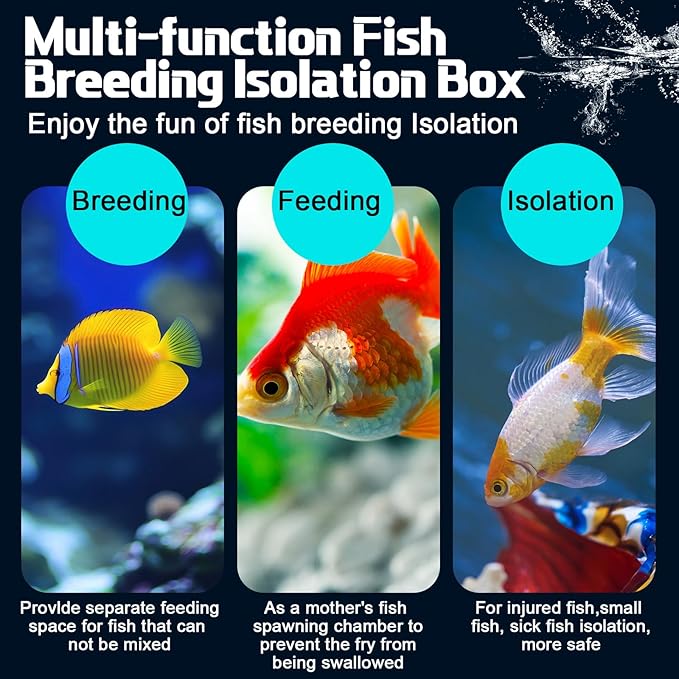 2 Pcs Breeder Box for Fish Tank Aquarium Breeder Separation Net Breeding Box with Suction Cup for Small Fish Shrimp Clownfish Guppy-PawvioPets