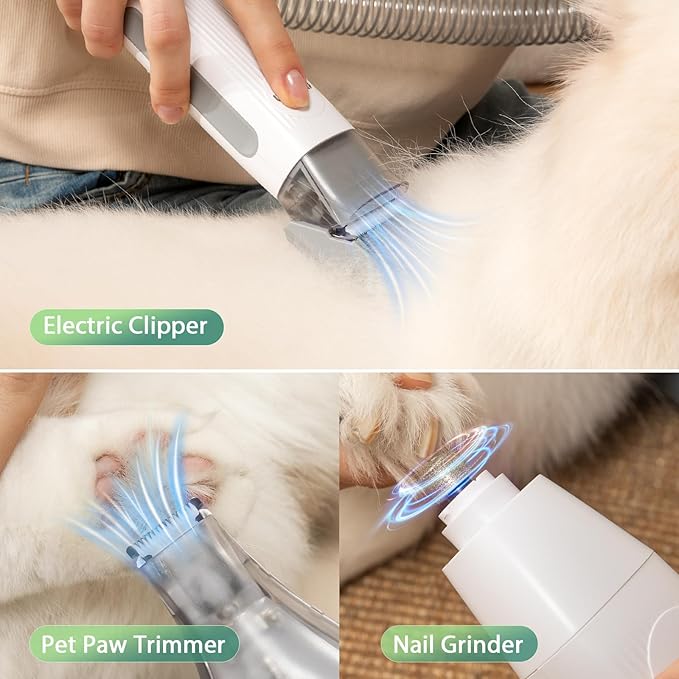 Afloia 6-in-1 Dog Grooming Kit, Pet Grooming Vacuum for Shedding, Dog Hair Vacuum with Clipper Nail Trimmer Grinder, Pet Brush Groomer at Home, Low Noise Cats Hair Remover, 1.5L Dust Cup, Green-PawvioPets