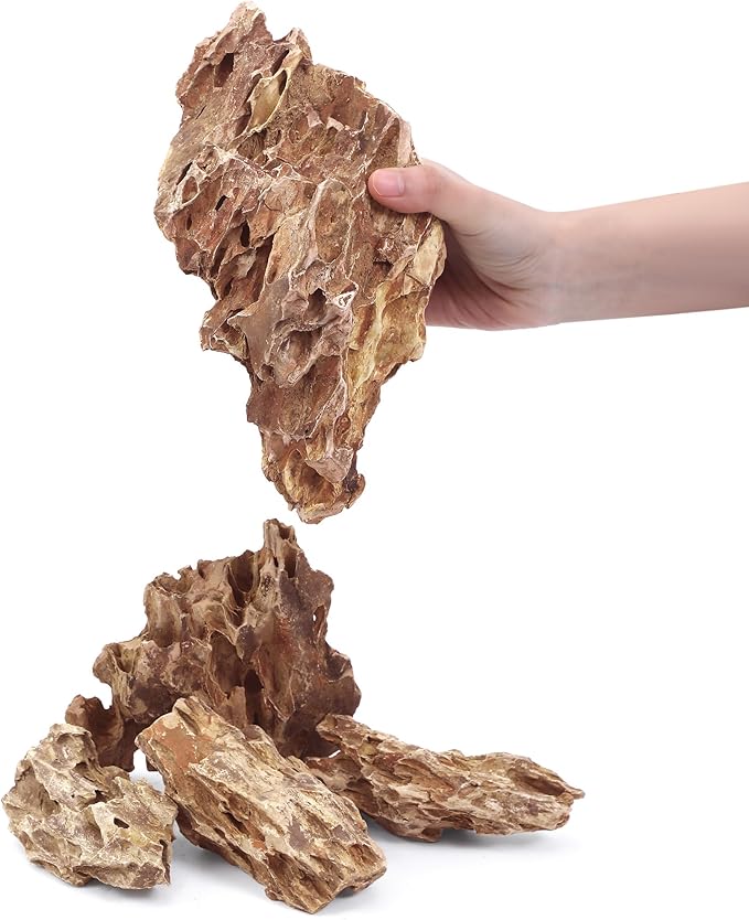 2-8 Inches Natural Dragon Stone 5 PCS Aquarium Rocks for Aquascaping, Aquarium Landscaping, Terrariums, Fish Tank Decoration, Vivariums, Paludarium, Reptile and Amphibian Enclosures-PawvioPets
