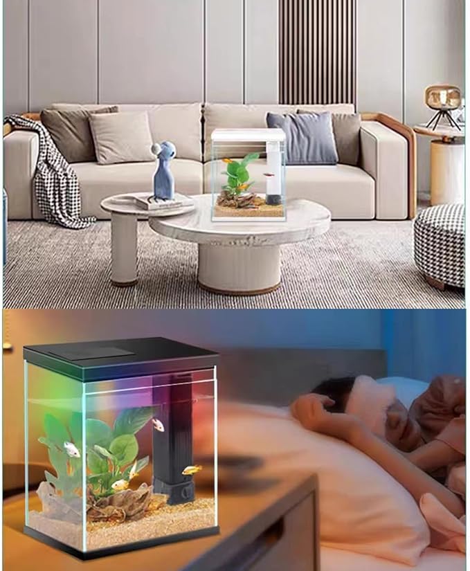 Glass Betta Aquarium Starter Kits, 2 Gallon Fish Tank with Heater Filter and Light.-PawvioPets