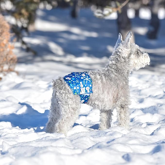 CuteBone Christmas Doggie Diapers for Male Dogs Medium Dog Diapers Male DM34M-PawvioPets
