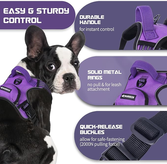BUMBIN Dog Harness for Large Dogs, No Pull Adjustable No Choke Pet Vest with Dog Leash Fit Smart Reflective Pet Walking Harness for Training Easy Control Soft Handle Purple S-PawvioPets