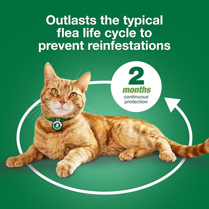 Advantage XD Large Cat Flea Prevention & Treatment For Cats over 9lbs. | 2-Topical Doses, 2-Months of Protection Per Dose-PawvioPets