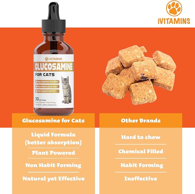 Glucosamine for Cats | Cat Glucosamine | Glucosamine for Cats Liquid | Cat Joint Supplement | Joint Supplement for Cats | Cat Joint Pain Relief | Joint Support for Cats | 1 fl oz: Chicken Flavor-PawvioPets