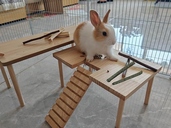 Bamboo Apple Sticks for Chinchillas Hamster Mouse Gerbil Bunny Pet Rat Guinea Pig Rabbit Chew Wood Timothy Hay Sticks Enrichment Toys for Teeth Supply Treats Snacks for Boredom Indoor-PawvioPets