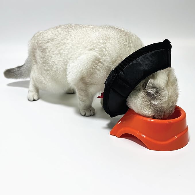 Cat Cone Collar - Soft Adjustable Cat Elizabethan Healing Collar – Lightweight Wound‑Protection Neck Cone for Licking/Biting Prevention, Fits Neck 6.5″–10.5″, Ideal Post‑Surgery & Injury Care-PawvioPets