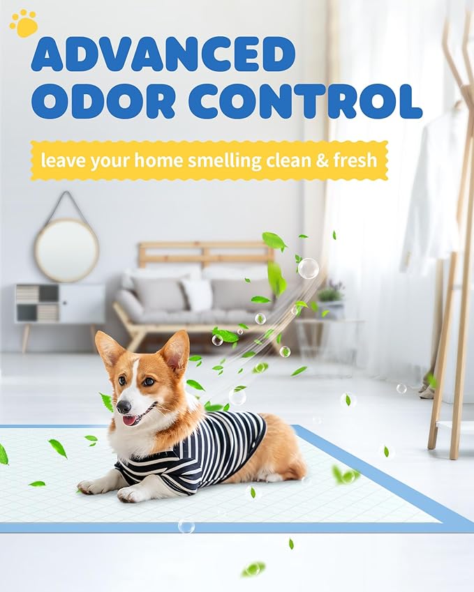 150-Pack Large Puppy Pads - 22'' x 22'' Pee Pads for Dogs Potty Training with Leak-Proof Quick-Dry Design, 6-Layer Dog Pads Large, Blue-PawvioPets