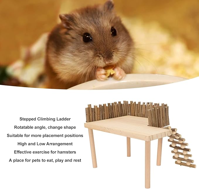 Diydeg Hamster Wooden, 2 Layer Small Hamster Stand Playground with Ladder, Hamster Climbing Toy Cage Accessories for Squirrel Gerbil Chinchilla Parrot Bird Small Animals-PawvioPets