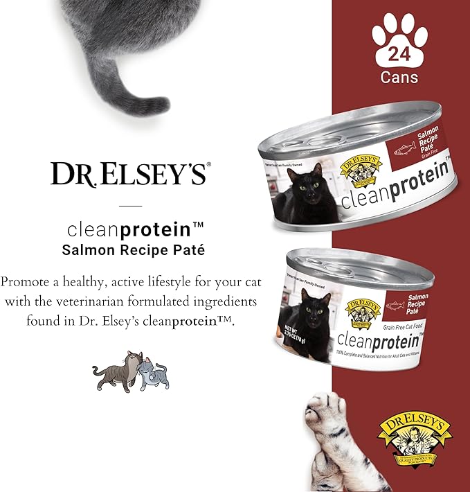 Dr. Elsey's cleanprotein Salmon Recipe Wet Cat Food, Pate 5.3 oz cans (Pack of 24)-PawvioPets