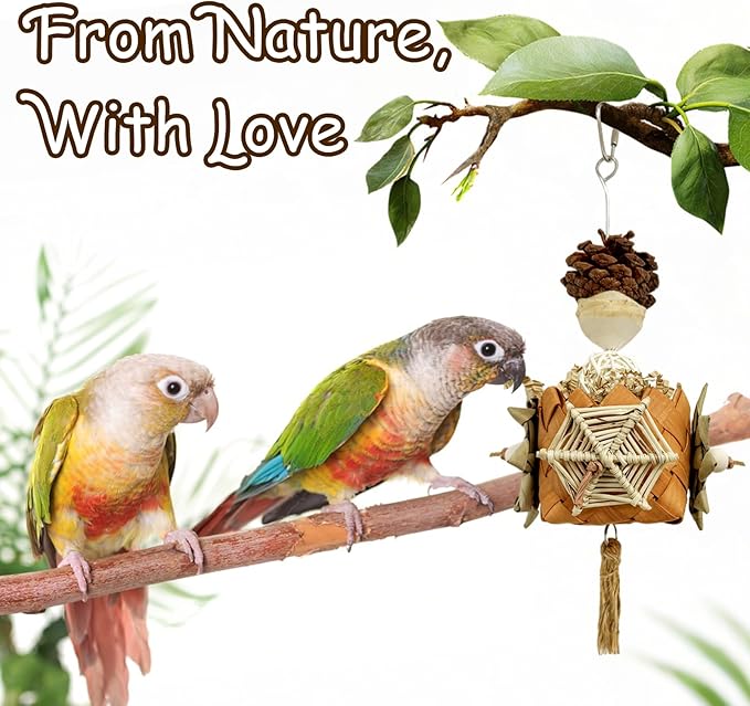 5-Pack Natural Hanging Basket Bird Toys – Foraging & Chewing Toys for Parakeets, Cockatiels, Conures & Small Birds – No Plastic, All-Natural Materials-PawvioPets