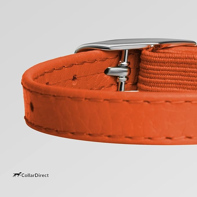 CollarDirect Leather Cat Collar, Cat Safety Collar with Elastic Strap, Kitten Collar for Cat with Bell Black Blue Red Orange Lime Green (Neck Fit 6"-7", Orange)-PawvioPets