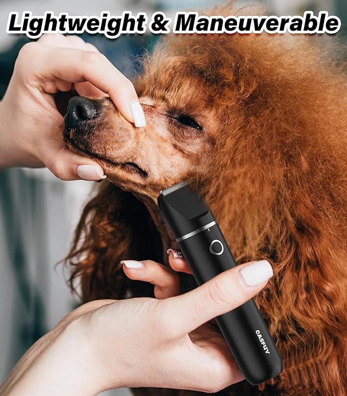 Casfuy Cordless Dog Paw Trimmer - Low Noise Small Dog Clippers with Double Blades USB Rechargeable Grooming Clipper for Dogs Cats and Small Pets for Trimming Hair Around Paws, Eyes, Ears, Face, Rump-PawvioPets