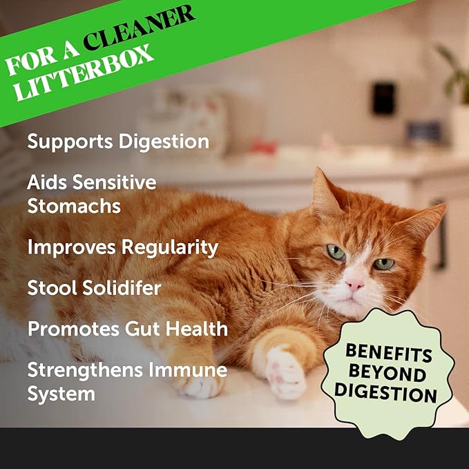 Digestive Probiotic Powder Supplement for Cats - Digestive Support + Gut Health, Probiotic for Cats, Cat Constipation Relief, Bowel Support, Immunity & Overall Health - 120 Scoops-PawvioPets