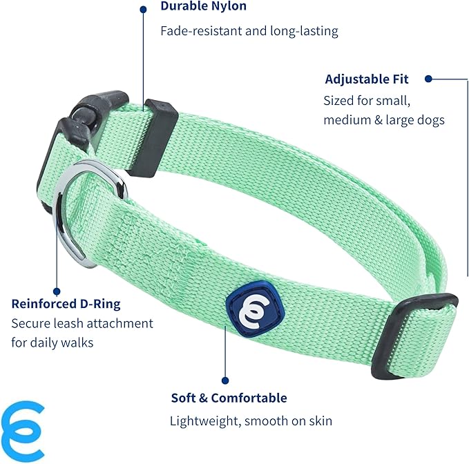 Blueberry Pet Essentials Dog Collar | Adjustable Girl Dog Collars for Medium Dogs | Pastel Green Puppy Collar | Classic Nylon Dog Collars for Small Dogs | Pet Accessories-PawvioPets