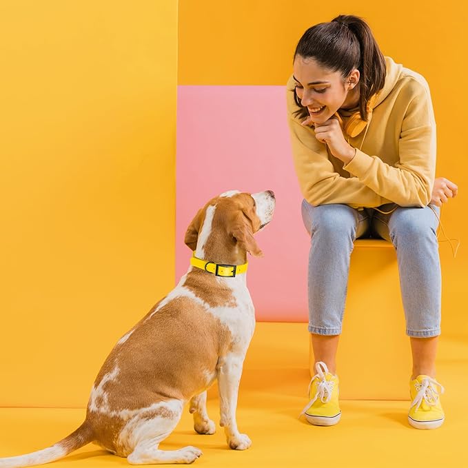 Dogline Biothane Waterproof Dog Collar Strong Coated Nylon Webbing with Black Hardware Odor- Proof for Easy Care Easy to Clean High Performance Fits Small Medium or Large Dogs, Lemon Yellow-PawvioPets