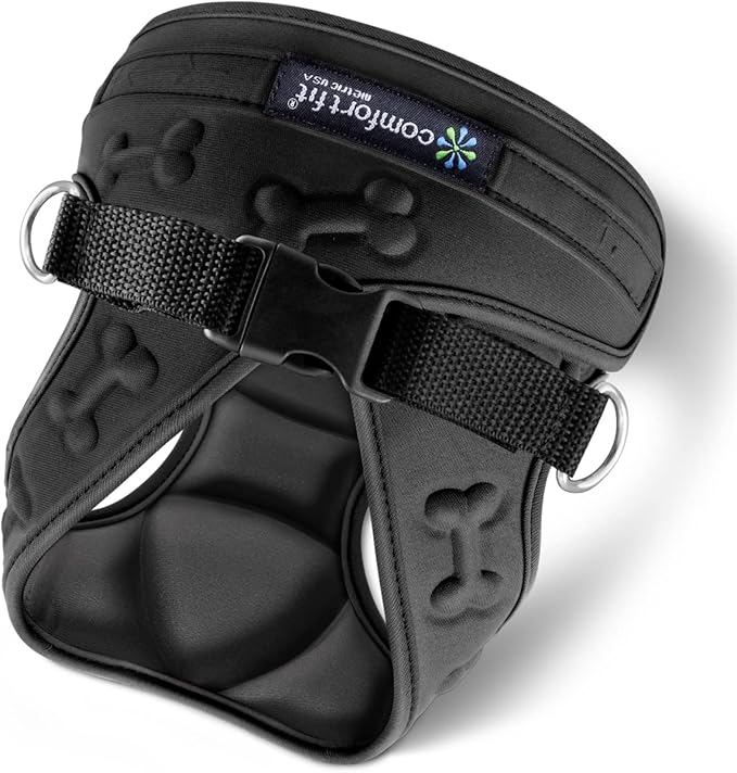 Comfort Fit Dog Harness No Pull with Leash Clips Step in Harness for Small Sized Dogs Soft Padded All Weather Dog Vest with Easy Control No Escape Adjustable Buckles for Dogs & Puppies – Black XS-PawvioPets