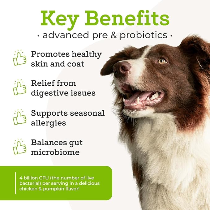 Dr. Joseph's VetPro Complete Advanced Powdered Pre & Probiotics for Dogs, 90 Scoops, Supports Gut Health, Diarrhea, Digestive Health & Seasonal Allergies, Chicken/Pumpkin Flavor, Add to Food-PawvioPets