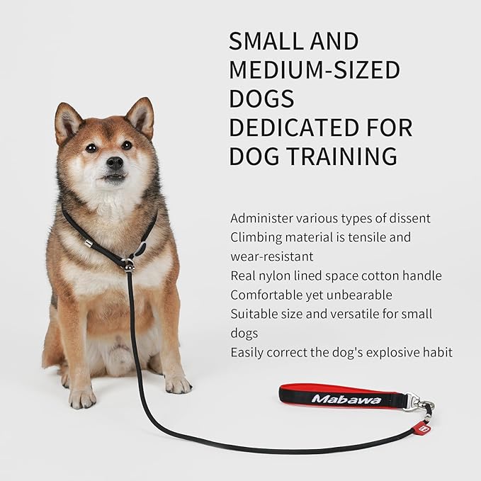 Dog Anti-Slip Leash 5FT with Metal Stopper - Durable No-Pull Training Lead for Small, Medium & Large Dogs - Comfortable Handle Nylon Rope, Tangle-Free Pet Walking Leash (Black, 5 FT)-PawvioPets