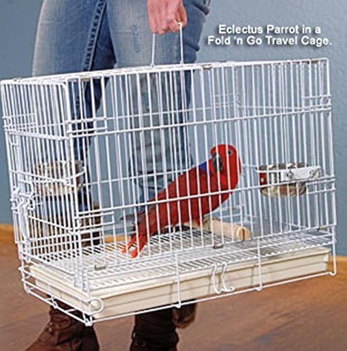 Durable Easy Portable Metal Travel or Veterinary Collapsable Parrot Bird Carrier Beaks Proof Cage with Stainless Steel Feeder Bowls Natural Wooden Perch Stand-PawvioPets