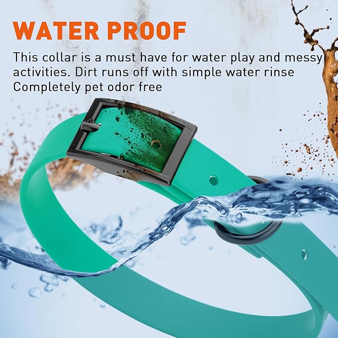 Dogline Biothane Waterproof Dog Collar Strong Coated Nylon Webbing with Black Hardware Odor- Proof for Easy Care Easy to Clean High Performance Fits Small Medium or Large Dogs, Teal-PawvioPets