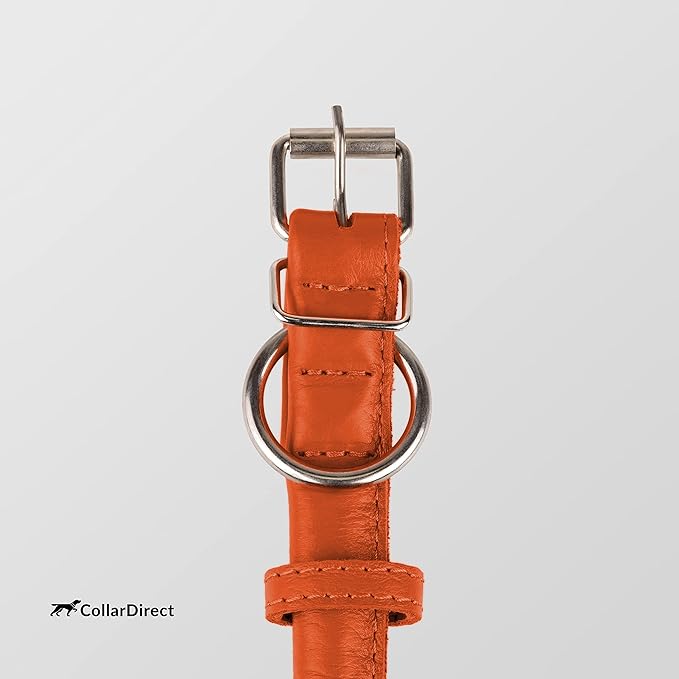 CollarDirect Rolled Leather Dog Collar, Soft Padded Round Puppy Collar, Handmade Genuine Leather Collar Dog Small Large Cat Collars 13 Colors (6 Inch, Orange Textured)-PawvioPets