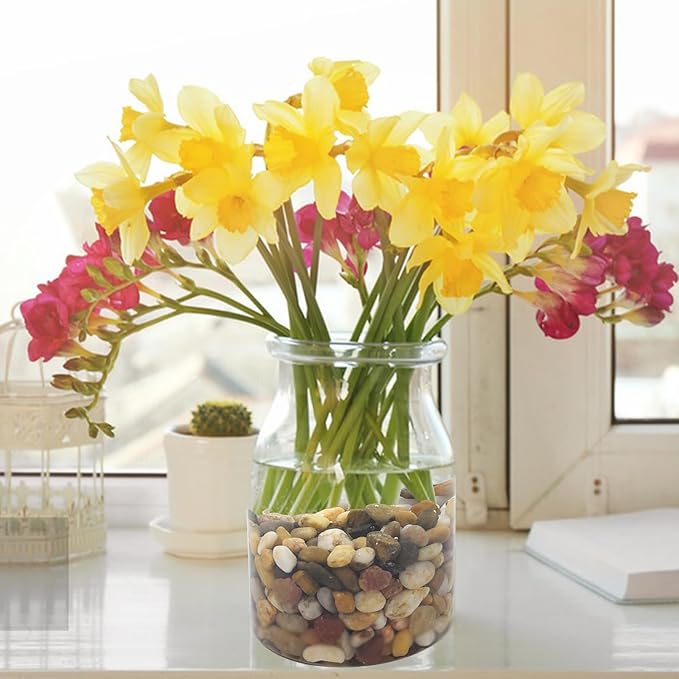 2lbs Fish Tank Rocks, 1/4 Inch Pea Gravel for Fish Tank, Decorative River Rocks for Aquarium Succulent Cactus Plant Vase Fillers Soil Cover and Outdoor Landscaping Stones-PawvioPets