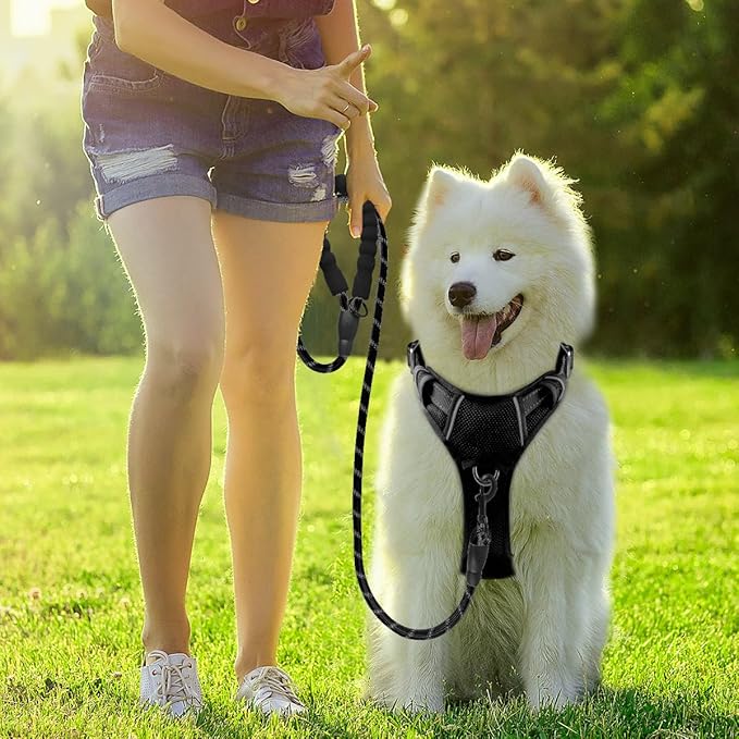 BARKBAY Dog Harness No Pull with ID Tag Pocket - Heavy Duty, Reflective, Easy Control for Large Dogs(Black,L)-PawvioPets