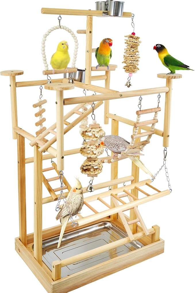 Bird Playground - Natural Wood Parrot Playstand with Perches, Bird Play Gym & Accessories, Removable Tray & 4 Stainless Steel Cups-PawvioPets