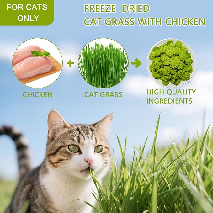 Cat Grass for Indoor Cat, 4.5 oz Cat Grass Teething Sticks, Natural Cat Dental Care Treat, Edible Snack for Teeth Cleaning and Hairball Removal-PawvioPets