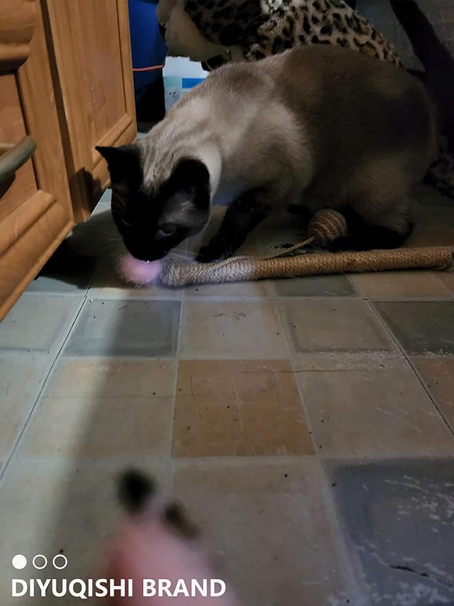 50-Pack Soft Cat Toy Balls – Fun Playtime & Exercise for All Cats (1.5 inch, Cat Toys Mega Set)-PawvioPets