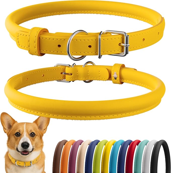 CollarDirect Rolled Leather Dog Collar, Soft Padded Round Puppy Collar, Handmade Genuine Leather Collar Dog Small Large Cat Collars 13 Colors (13-16 Inch, Yellow Smooth)-PawvioPets
